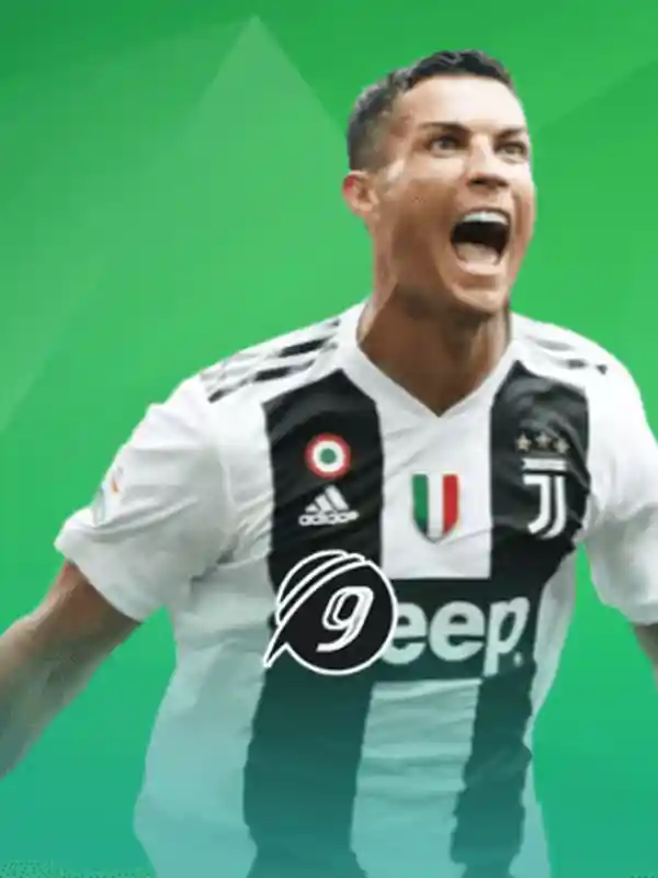 9Wickets খেলাধুলা ক্যাসিনো গেম ব্যানার